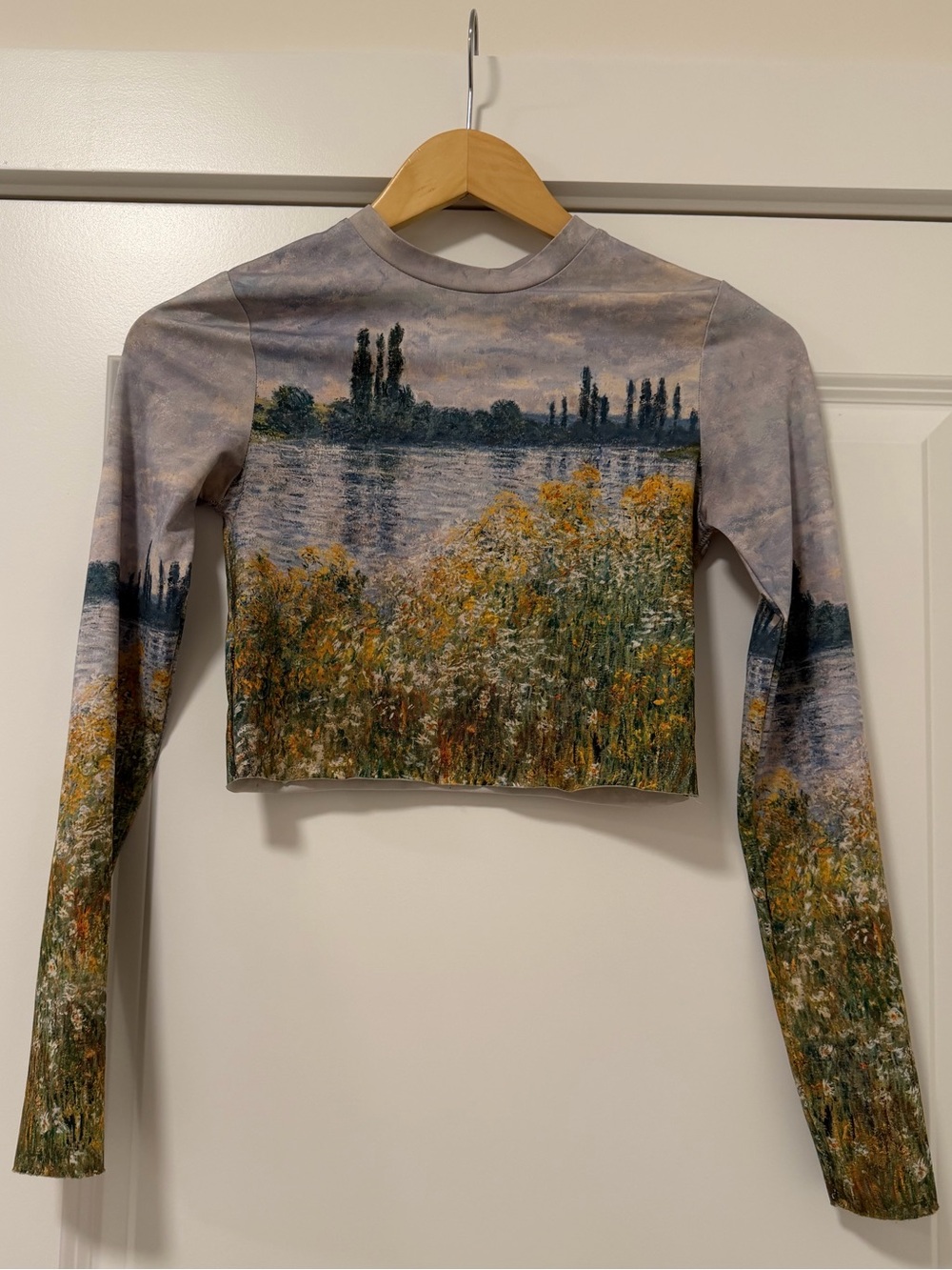 Topshop Monet Impressionist Art Print Mesh Crop Top Long Sleeve US 4 - Picture 2 of 3